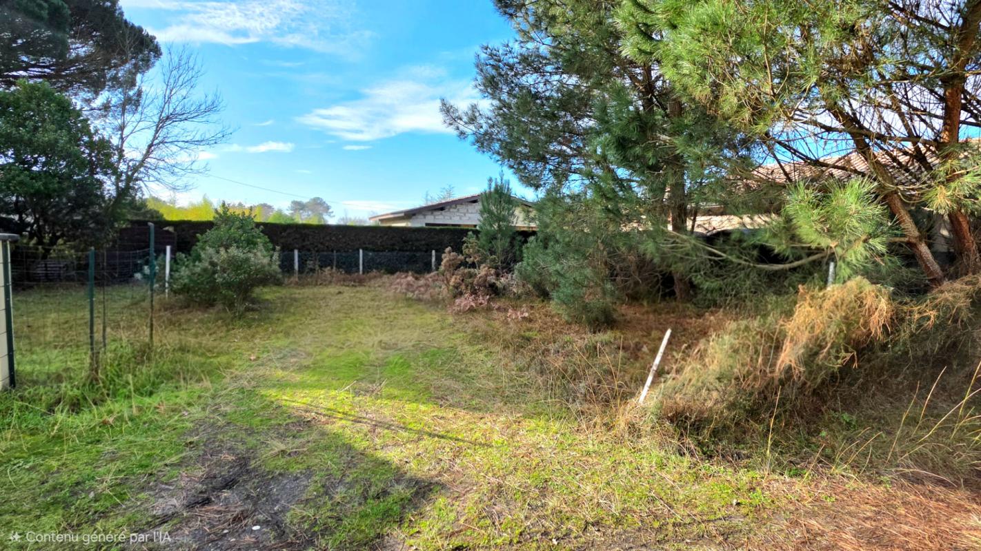 LANTON Ensemble immobilier  Lanton secteur Taussat  T3 + T2  90 m2 3