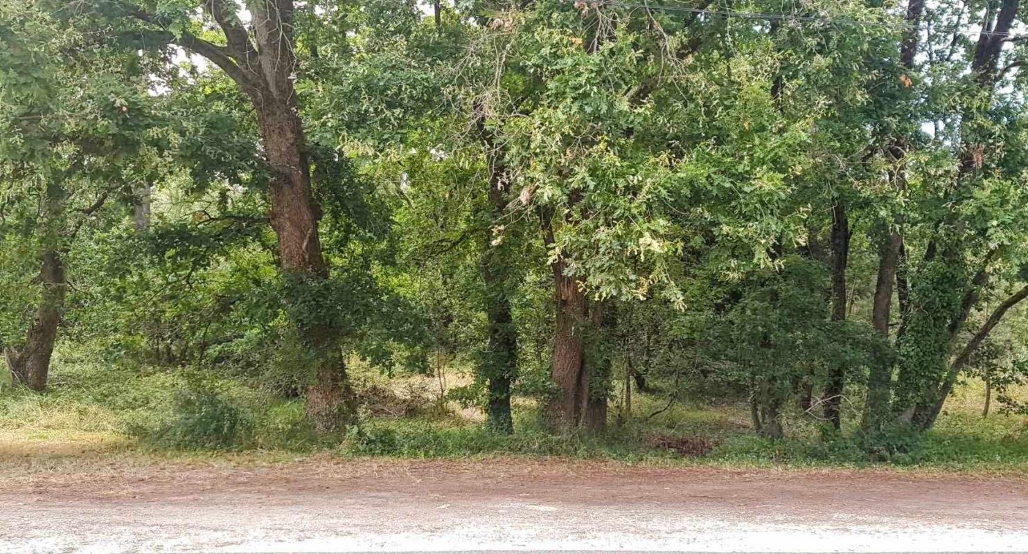 SOULAC-SUR-MER Terrain Soulac-sur-Mer 1242 m² 1