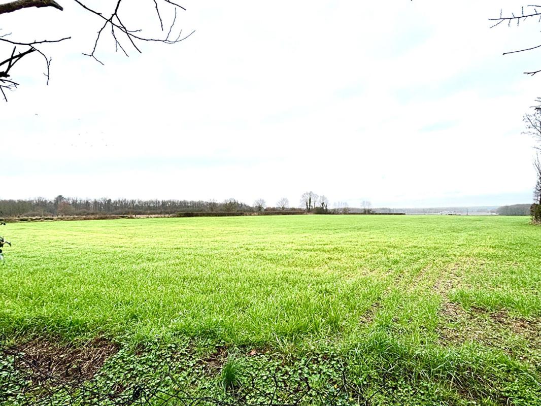 ANGERS Maison de campagne 15 min d'Angers 6 pièce(s) 175 m2 7