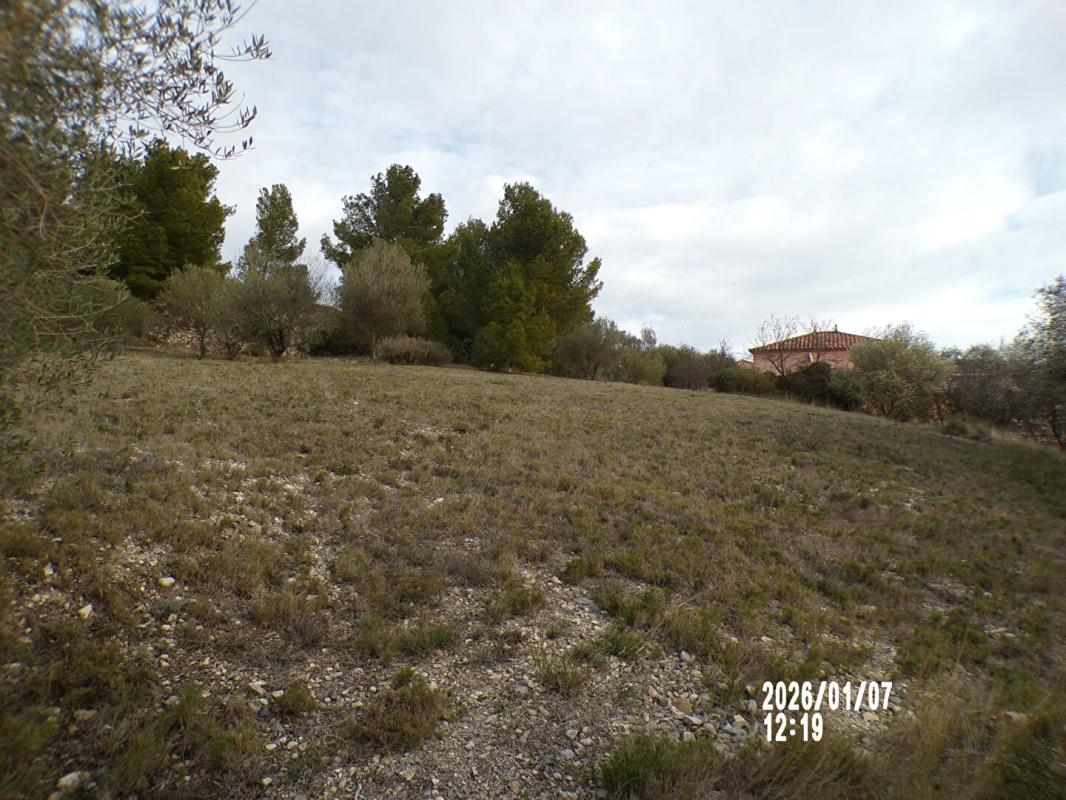 PEYRIAC-DE-MER OPPORTUNITE RARE - PEYRIAC DE MER 11