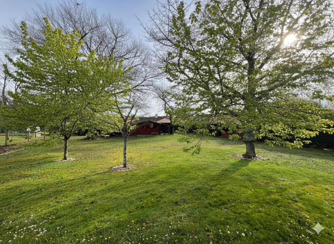 HAUTERIVE Maison avec jardin 16