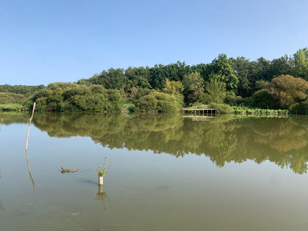 LA CHEVROLIERE Batisse sur terrain de 1899 m² sur la chevroliere 4