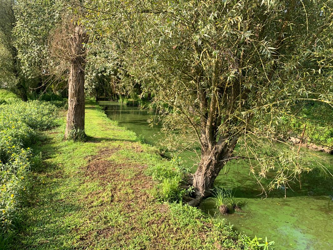 LA CHEVROLIERE Batisse sur terrain de 1899 m² sur la chevroliere 7