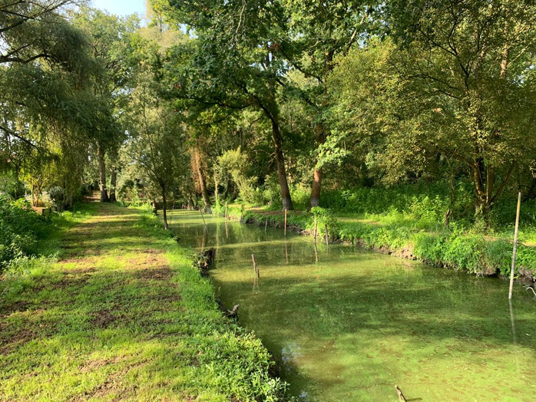 LA CHEVROLIERE Batisse sur terrain de 1899 m² sur la chevroliere 8