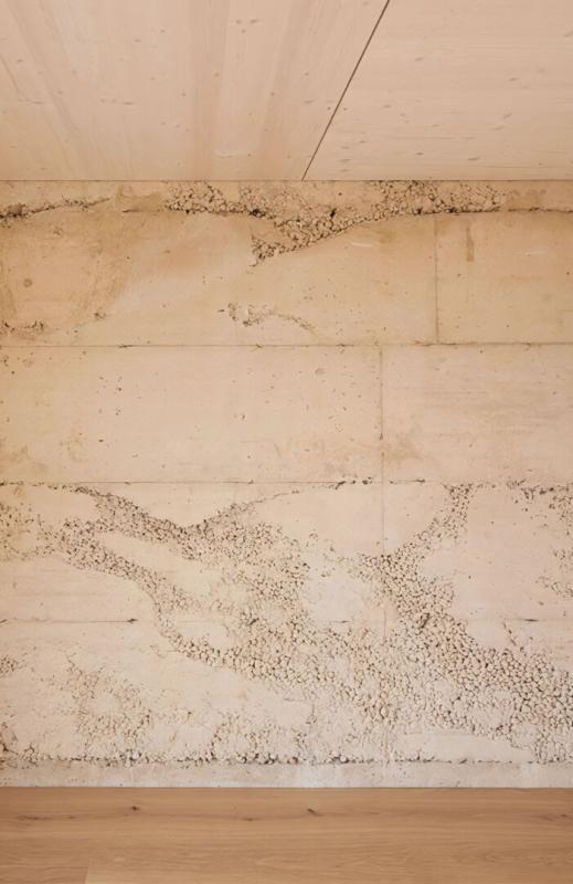 SAINT-CYR-AU-MONT-D'OR Propriété contemporaine de prestige  6 pièce(s) 170.30 m2 11