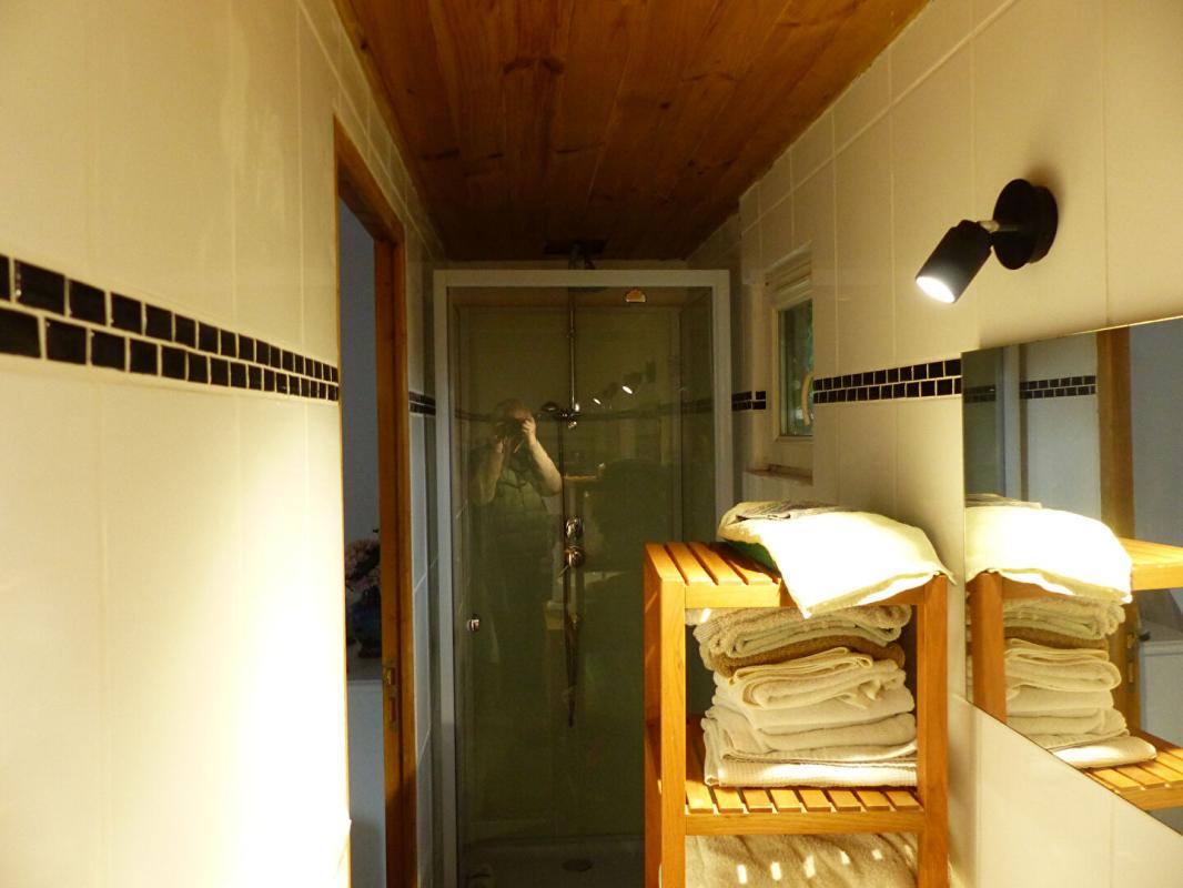 CHATEAU-LANDON Maison Chateau Landon 4 pièce(s) 106 m2 11