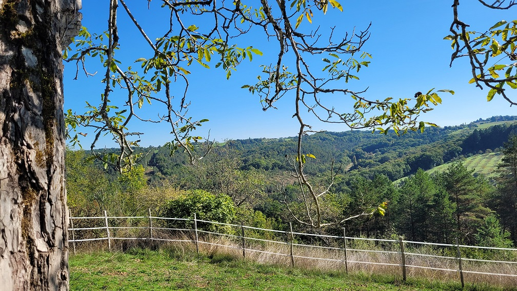 PLAZAC Plazac- Vallée Vézère - Maison en pierre avec 2 parties indépendantes. Vue magnifique. 3/4 chambres. Dépendances. Terrain attenant et non attenant: environ 3ha 2