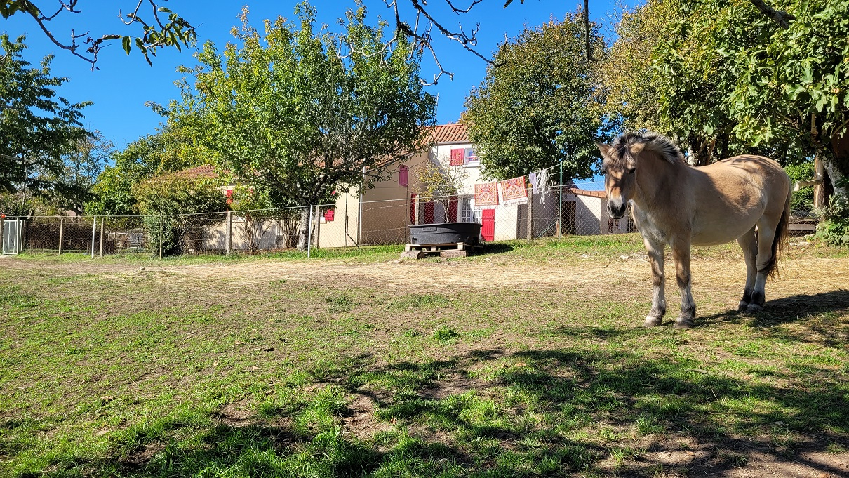 PLAZAC Plazac- Vallée Vézère - Maison en pierre avec 2 parties indépendantes. Vue magnifique. 3/4 chambres. Dépendances. Terrain attenant et non attenant: environ 3ha 3