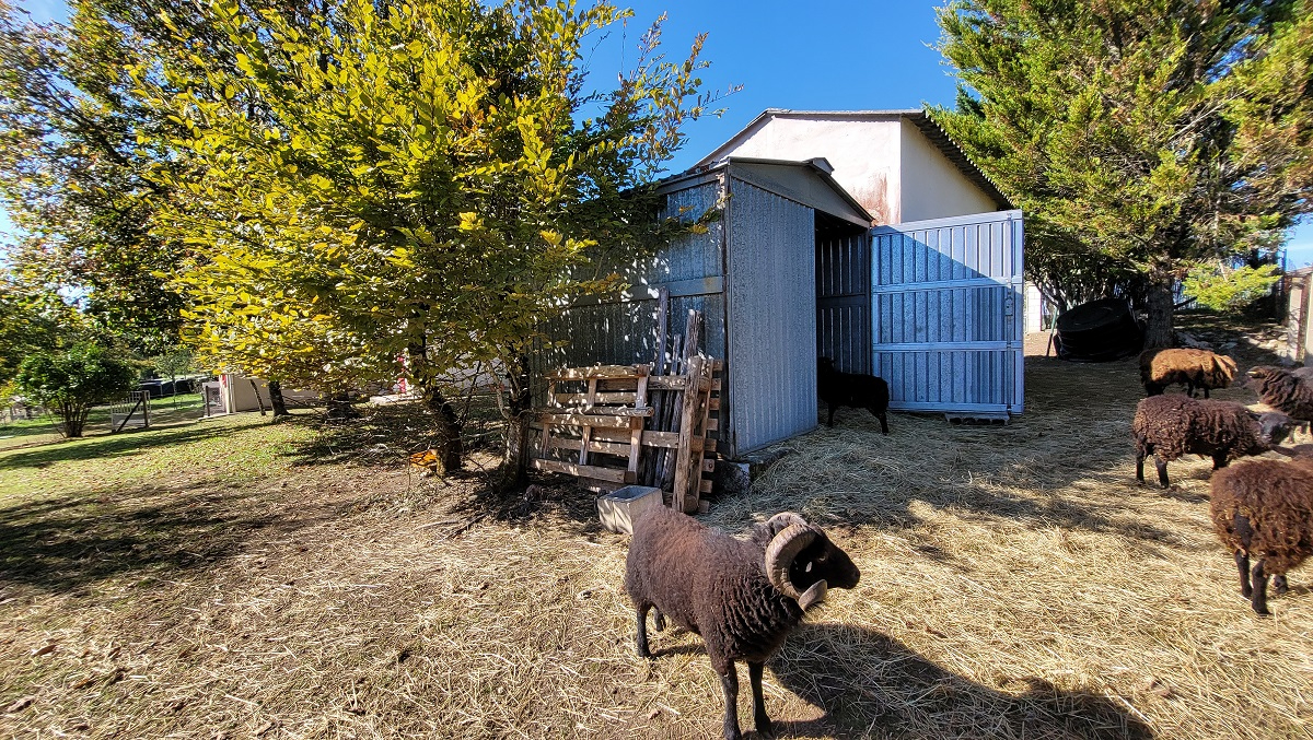 PLAZAC Plazac- Vallée Vézère - Maison en pierre avec 2 parties indépendantes. Vue magnifique. 3/4 chambres. Dépendances. Terrain attenant et non attenant: environ 3ha 4