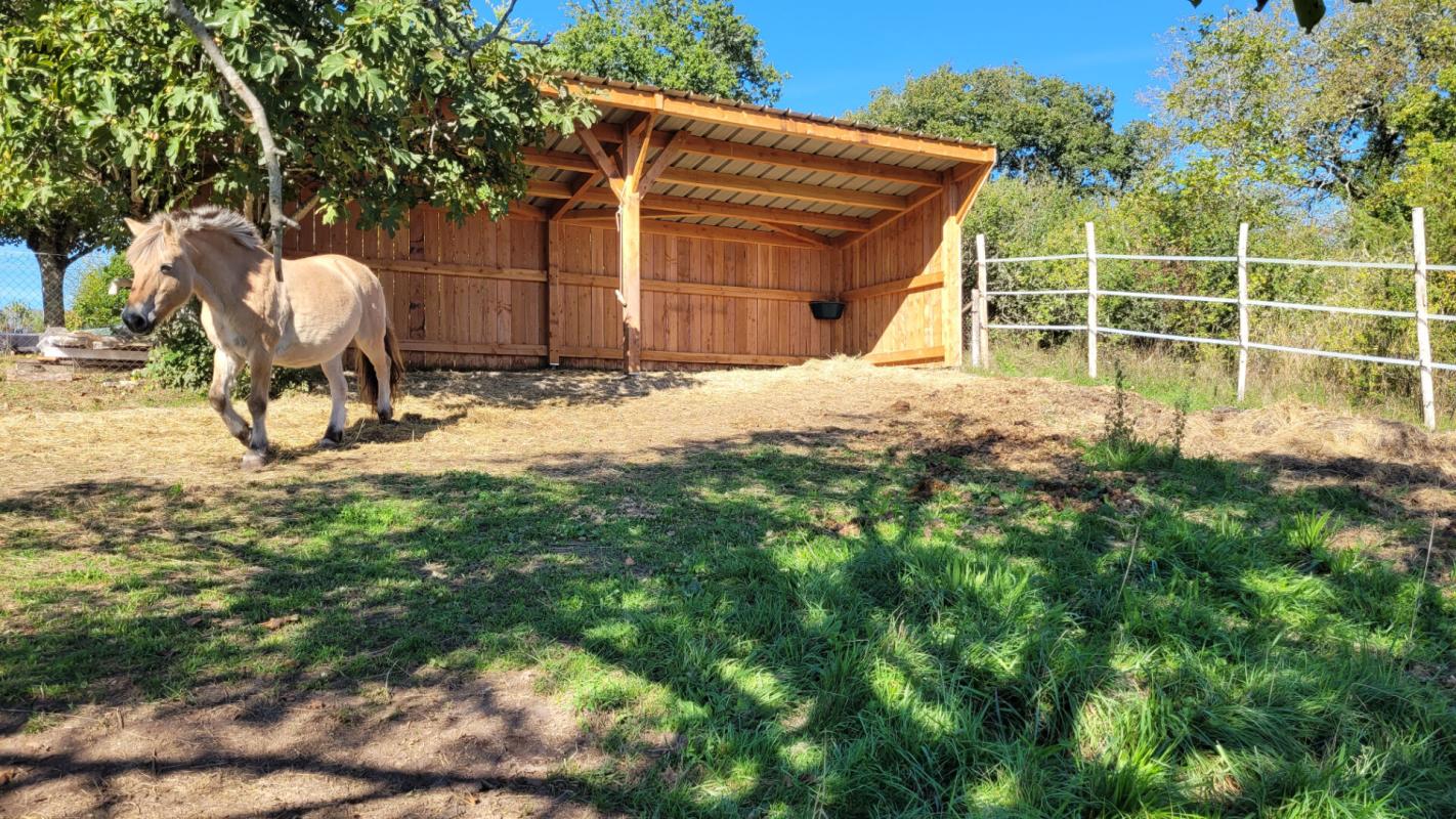 PLAZAC Plazac- Vallée Vézère - Maison en pierre avec 2 parties indépendantes. Vue magnifique. 3/4 chambres. Dépendances. Terrain attenant et non attenant: environ 3ha 5