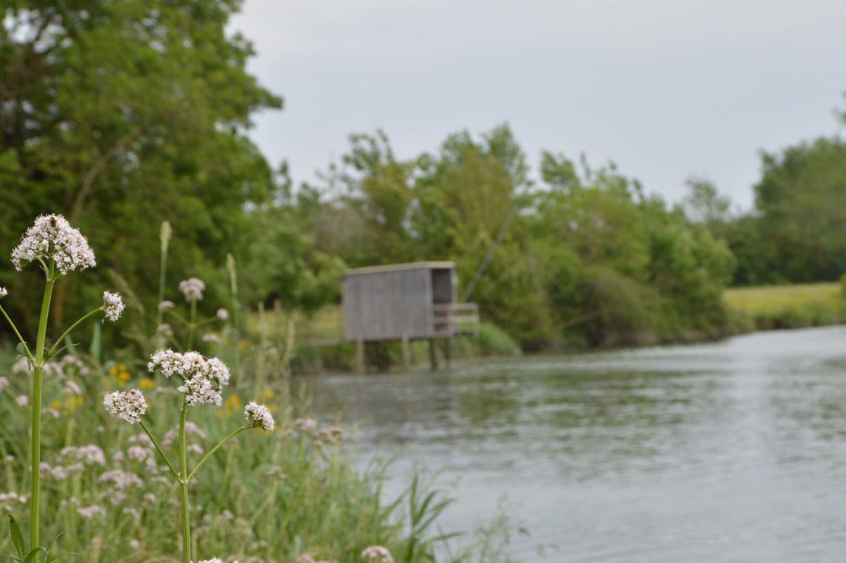LE MUNG Terrain constructible 17 Le Mung  libre choix du constructeur 1