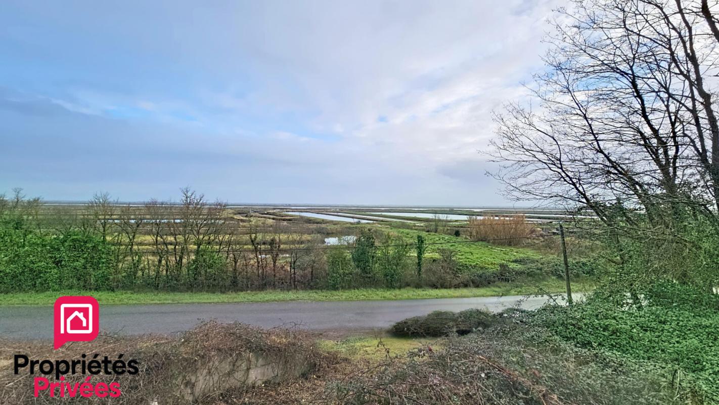 CHAILLEVETTE Terrain  de loisir Chaillevette 1186 m2 5