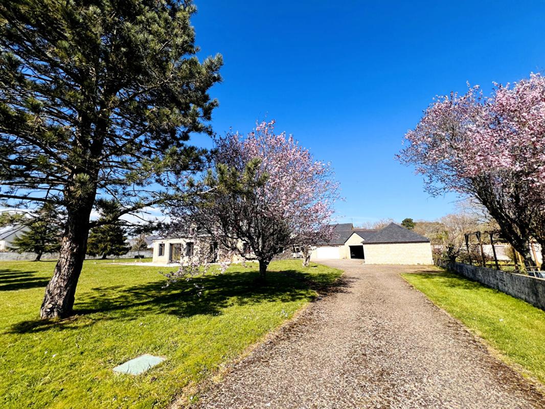 SURZUR Surzur- Maison 205m2- 5 ch- Garages- Atelier- 1824m2 Terrain 1