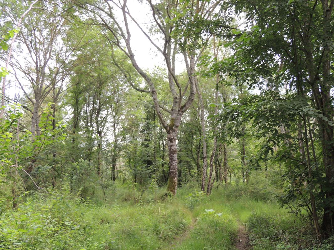 MYENNES Propriété de chasse Myennes 8 pièce(s) 254 m2 10