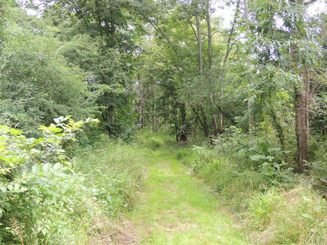 MYENNES Propriété de chasse Myennes 8 pièce(s) 254 m2 11