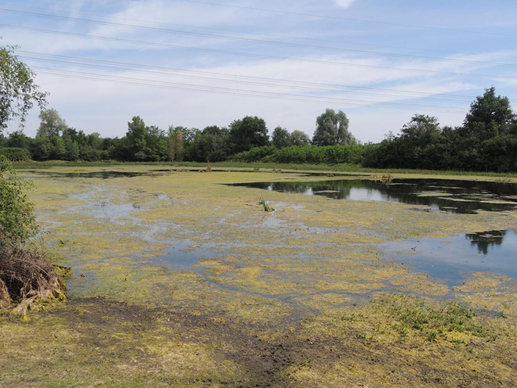 MYENNES Propriété de chasse Myennes 8 pièce(s) 254 m2 8