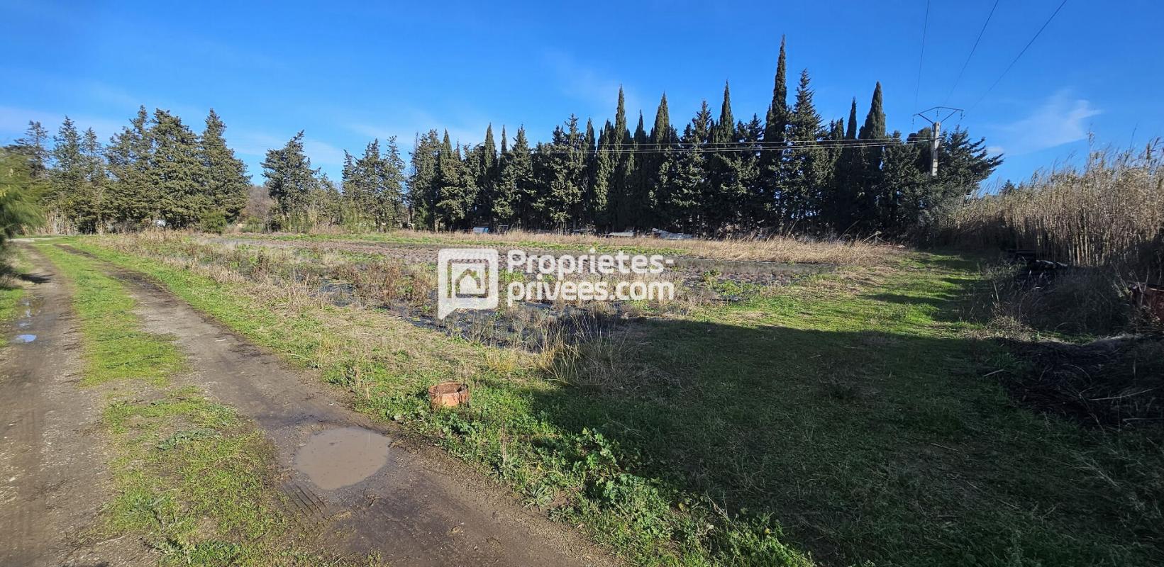 ELNE Terrains agricoles à  Elne  d'une superficie totale de 29 154 m2 15