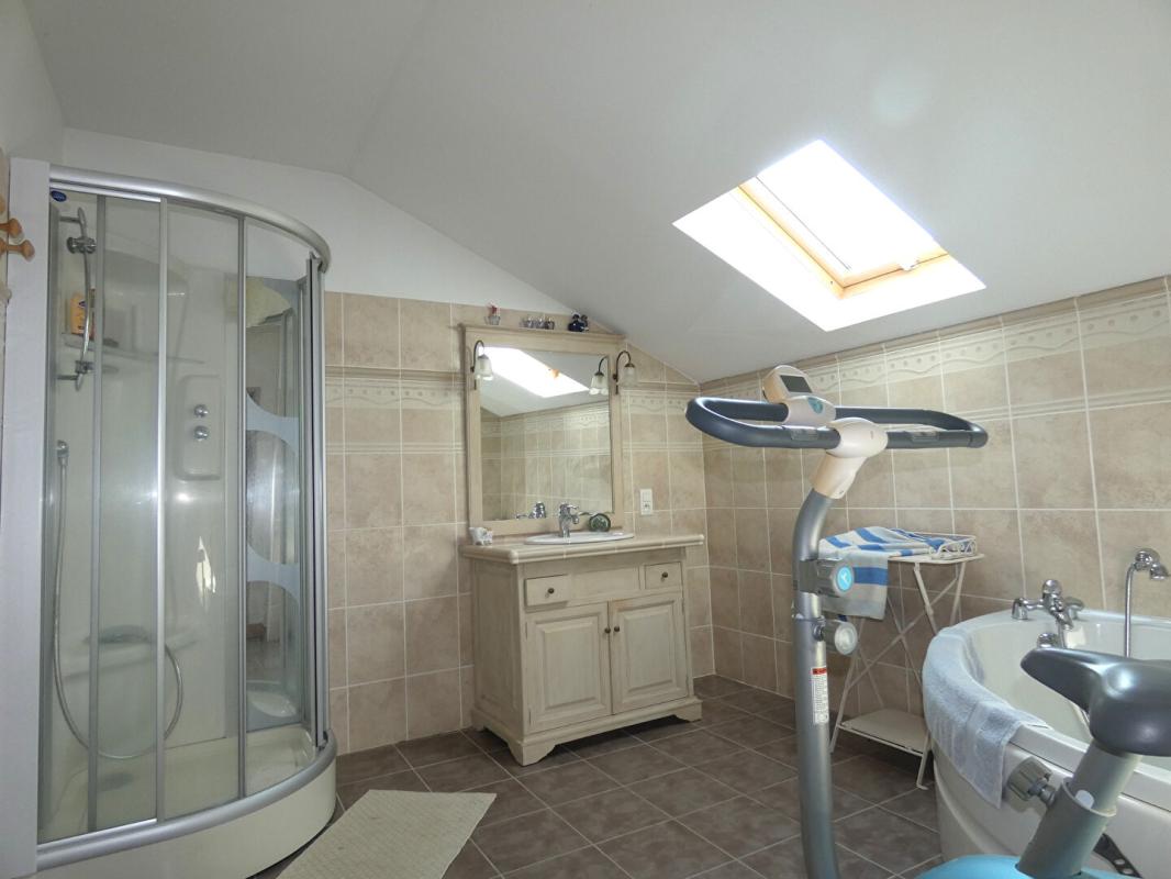 GENIS Maison 165 m2 / grange / garage /étang / terrain 9 hectares 17