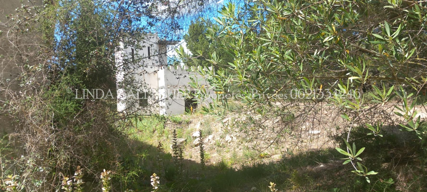 SIGEAN Demeure de prestige Sigean 17 pièce(s) 439 m2 12