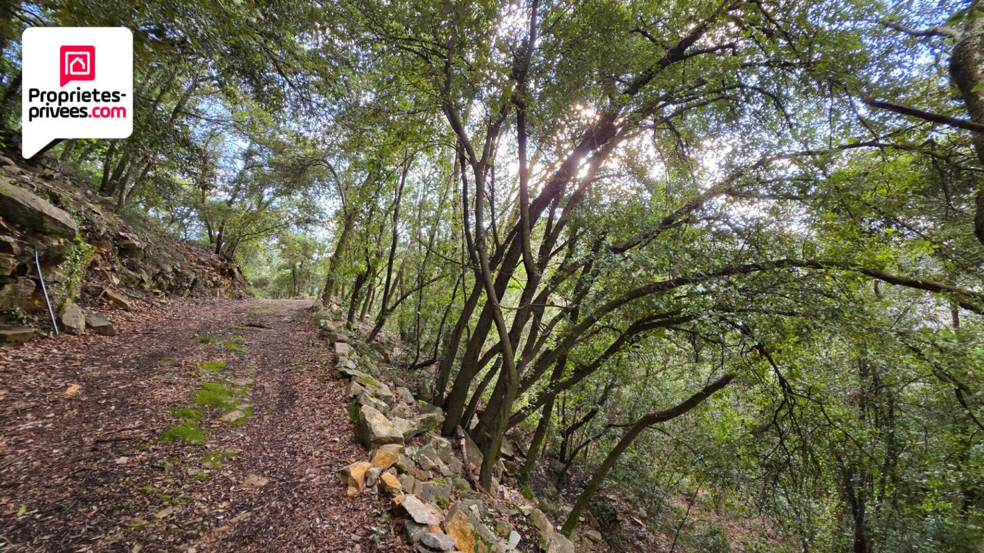 SAINT-CEZAIRE-SUR-SIAGNE Magnifique Oliveraie et forêt avec Cabanon en vallée de la Siagne 16190 m2 10