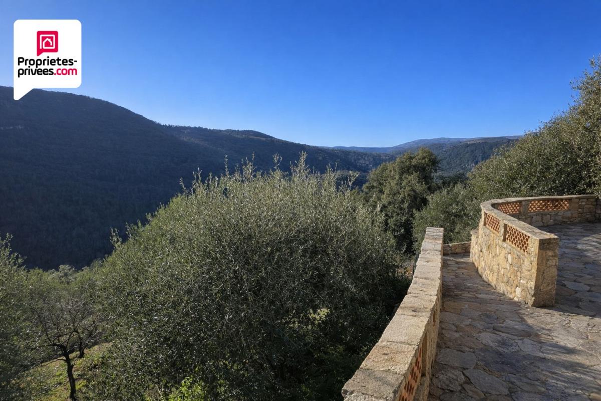 SAINT-CEZAIRE-SUR-SIAGNE Magnifique Oliveraie et forêt avec Cabanon en vallée de la Siagne 16190 m2 3