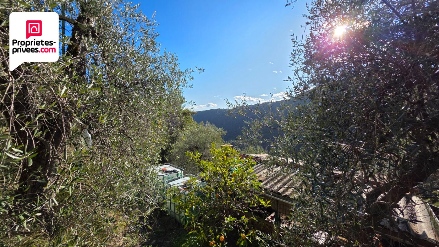 SAINT-CEZAIRE-SUR-SIAGNE Magnifique Oliveraie et forêt avec Cabanon en vallée de la Siagne 16190 m2 4