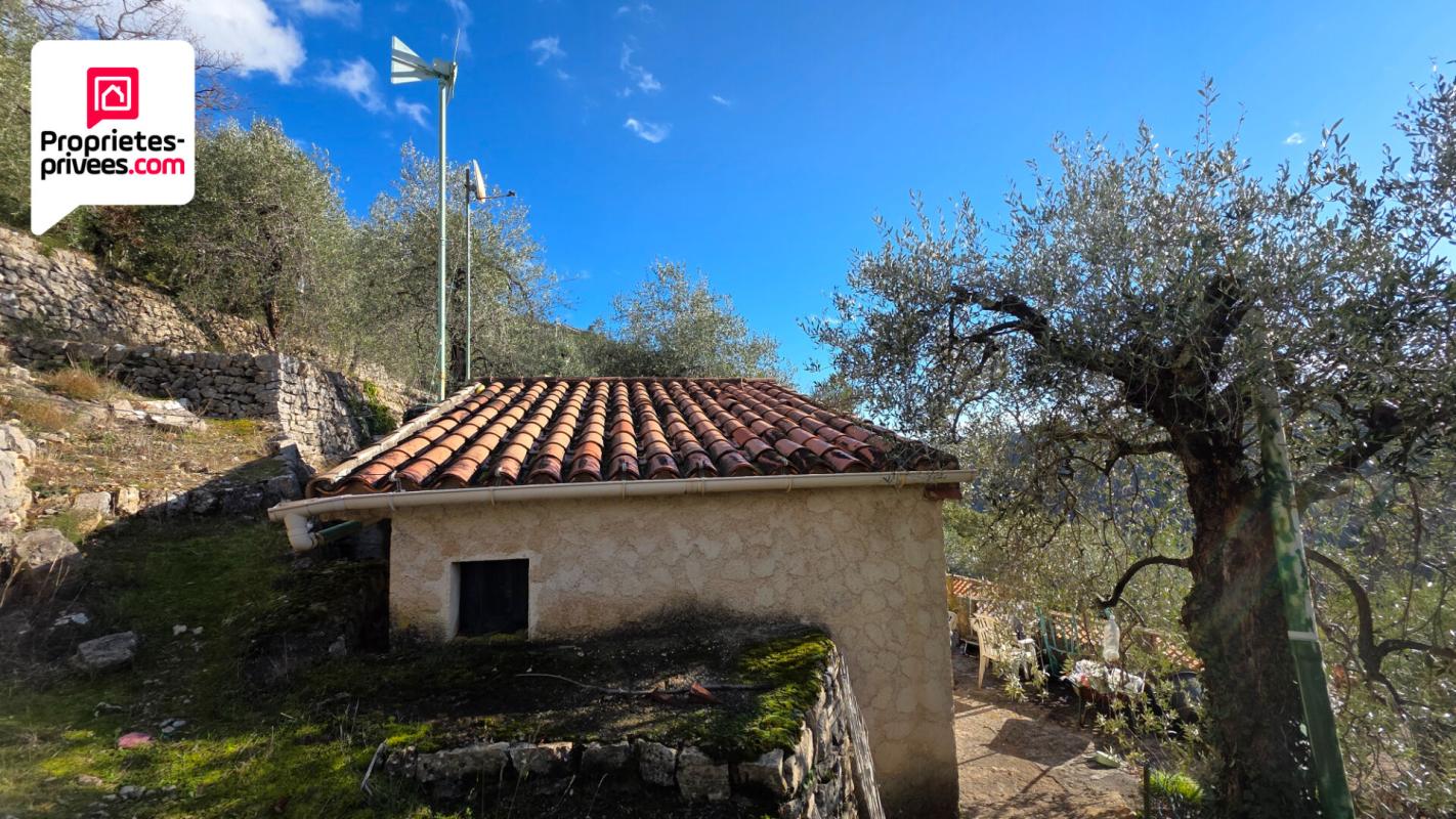 SAINT-CEZAIRE-SUR-SIAGNE Magnifique Oliveraie et forêt avec Cabanon en vallée de la Siagne 16190 m2 5