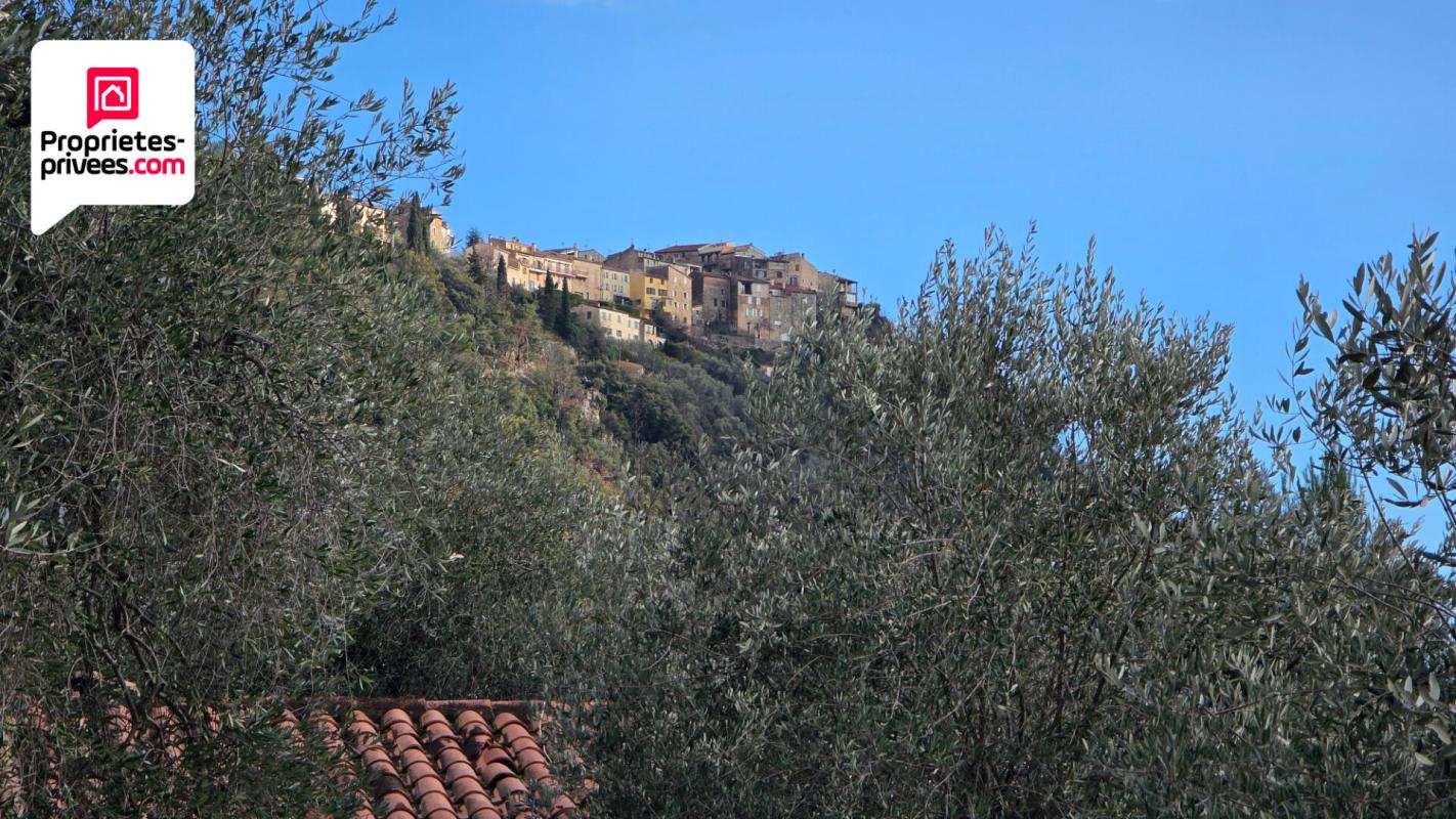 SAINT-CEZAIRE-SUR-SIAGNE Magnifique Oliveraie et forêt avec Cabanon en vallée de la Siagne 16190 m2 9