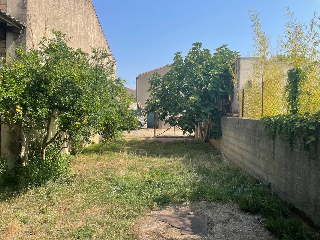 CARCASSONNE Ancienne cave à vin avec fort potentiel 1