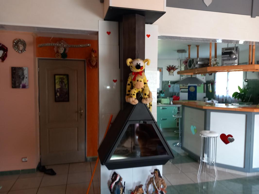 SAINT-AVRE Maison  6 pièce(s) 179 m2 5