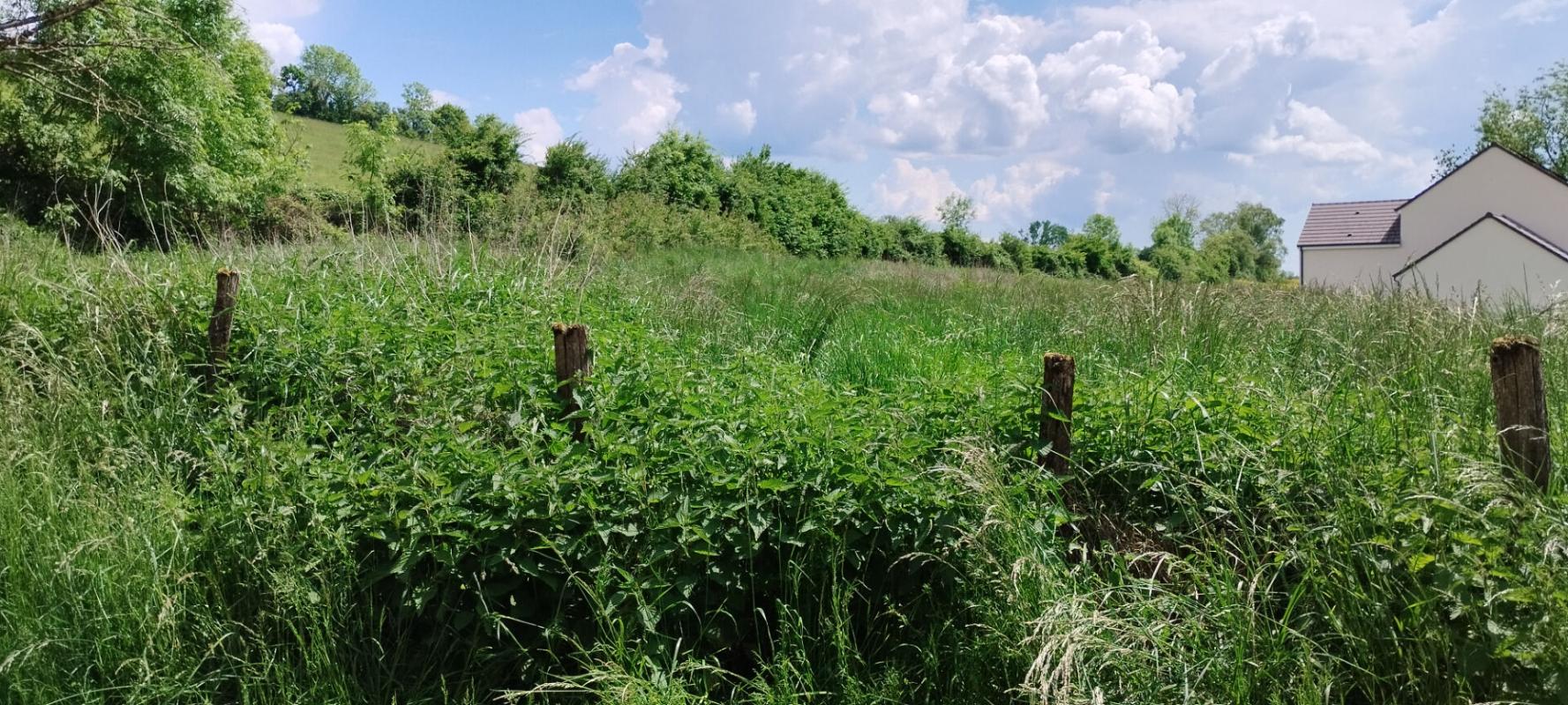 POUILLY-EN-AUXOIS 21320 POUILLY EN AUXOIS - Terrain constructible 1202 m2 - Beaume commune de Créancey 8