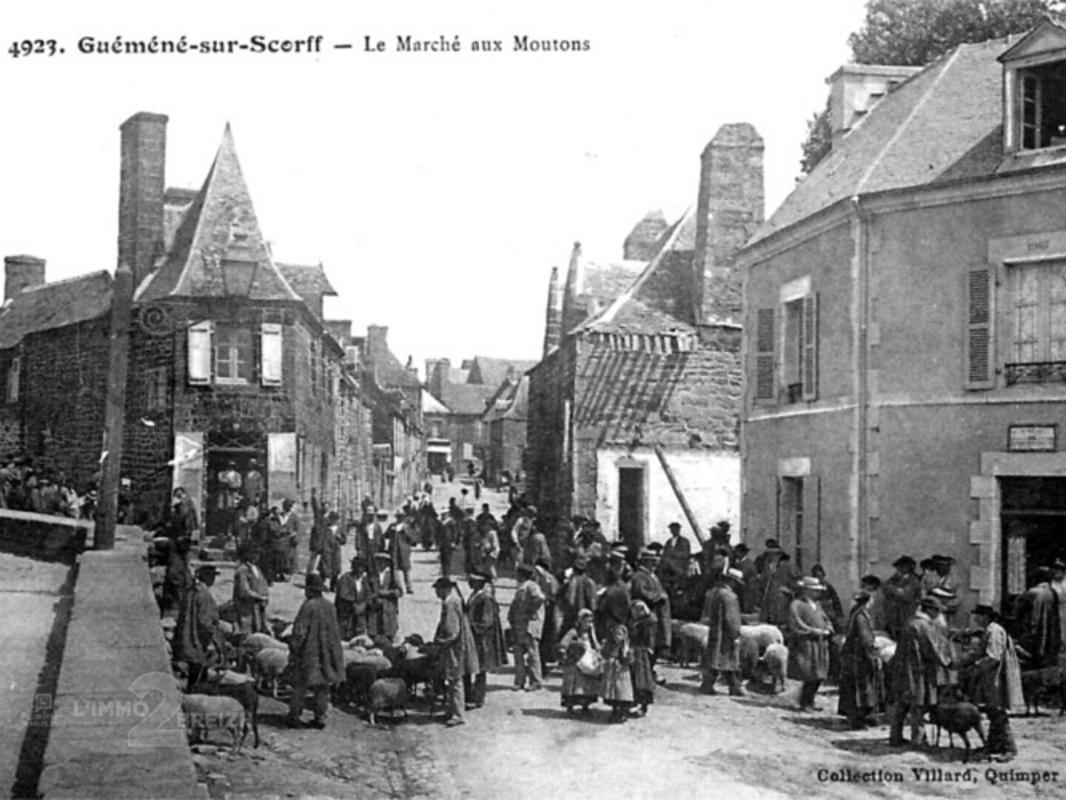 GUEMENE-SUR-SCORFF Bâtiment « Café Pointu »    110 m2 8