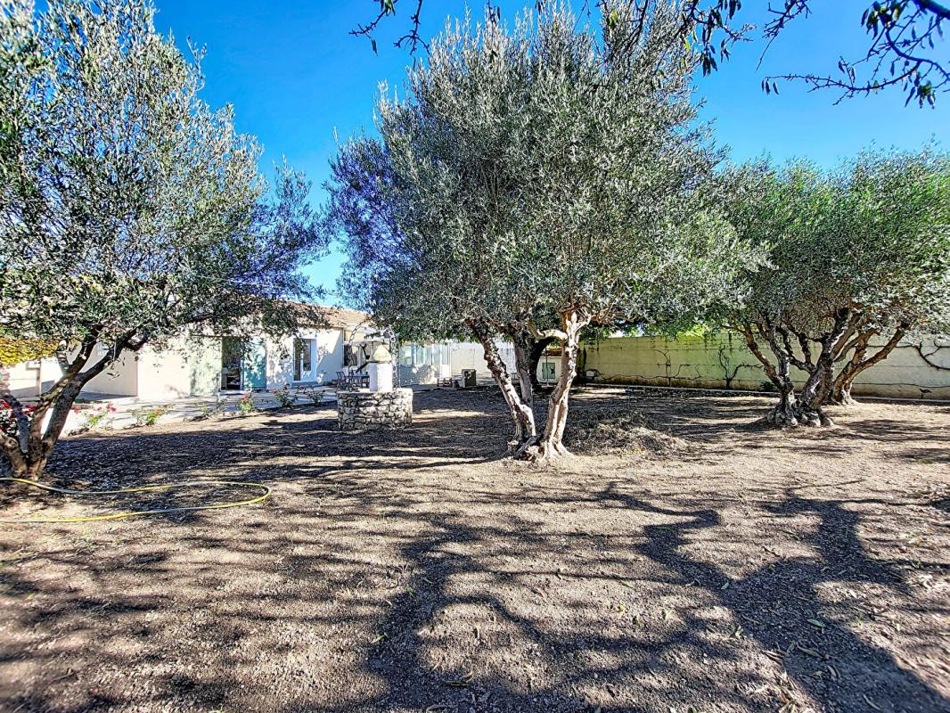 CHATEAURENARD Maison de plain-pied avec fort potentiel Terrain 931 m² Exposition plein sud 5