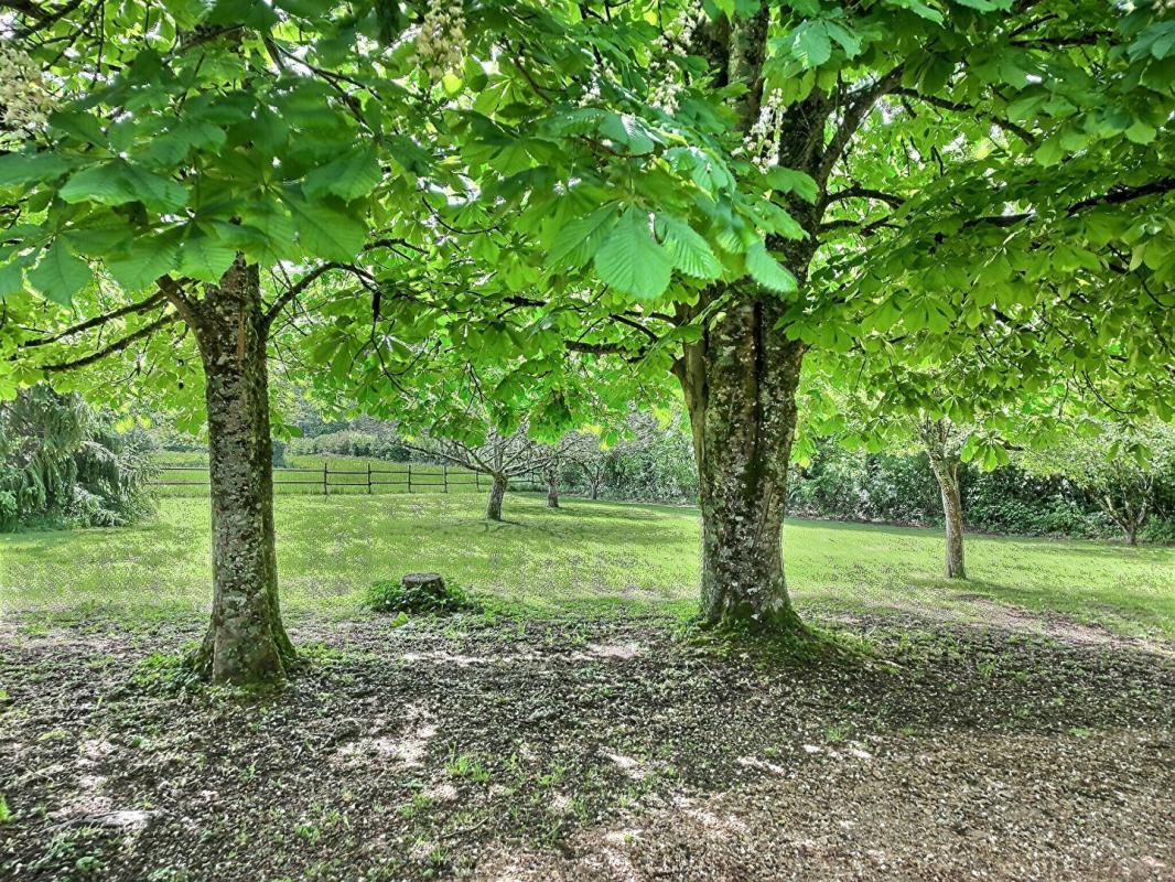 SAINT-ANDRE-EN-MORVAN Maison Saint Andre en Morvan 8 pièces 17