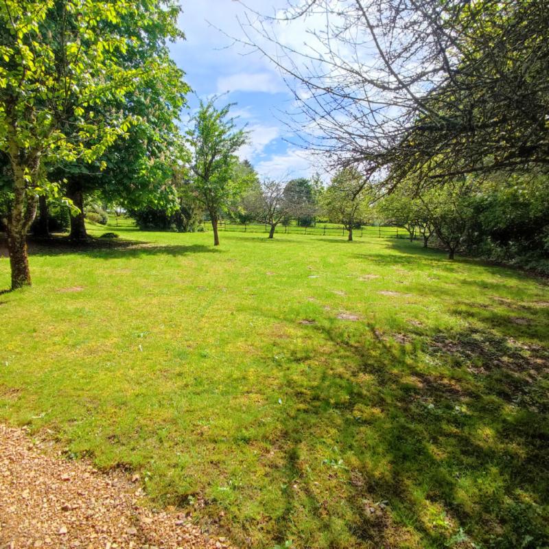 SAINT-ANDRE-EN-MORVAN Maison Saint Andre en Morvan 8 pièces 18