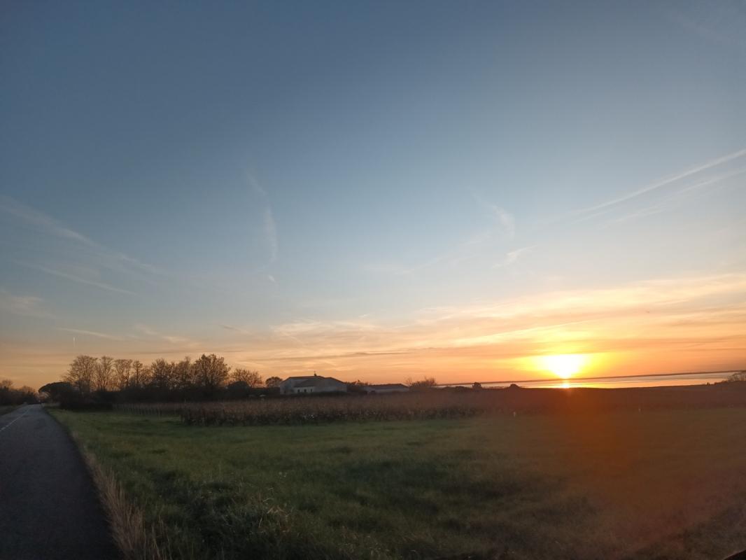 CHENAC-SAINT-SEURIN-D'UZET Charentaise de 5 pièce(s) 161 m2 16