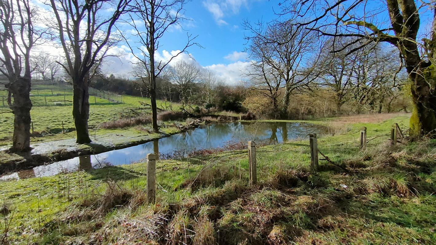 CHAMBRETAUD Maison de village 6 pièces 147 m2 11