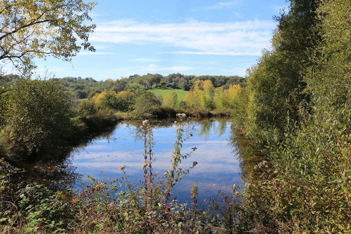 BADEFOLS-D'ANS Maison en pierre avec piscine chauffé et terrain 17 hectares 10
