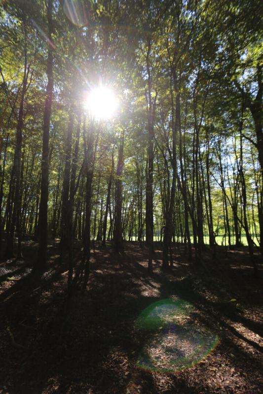 BADEFOLS-D'ANS Maison en pierre avec piscine chauffé et terrain 17 hectares 13
