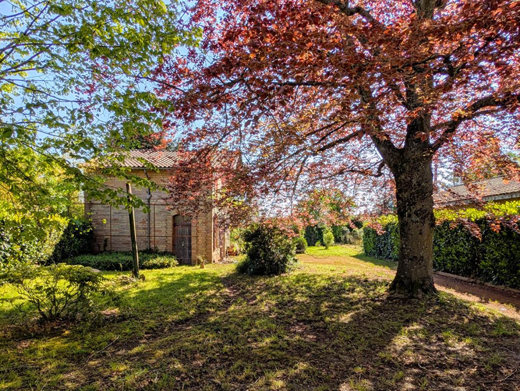 CAZERES Maison 224 m2 avec 7 chambres, dépendance 97 m² sur terrain de 1455 m² 2