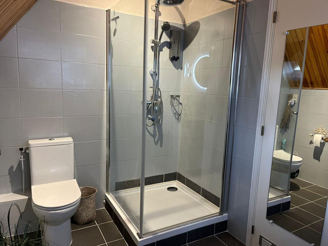 SAINT-CHAMASSY Maison avec 5 chambres et une piscine à débordement 14