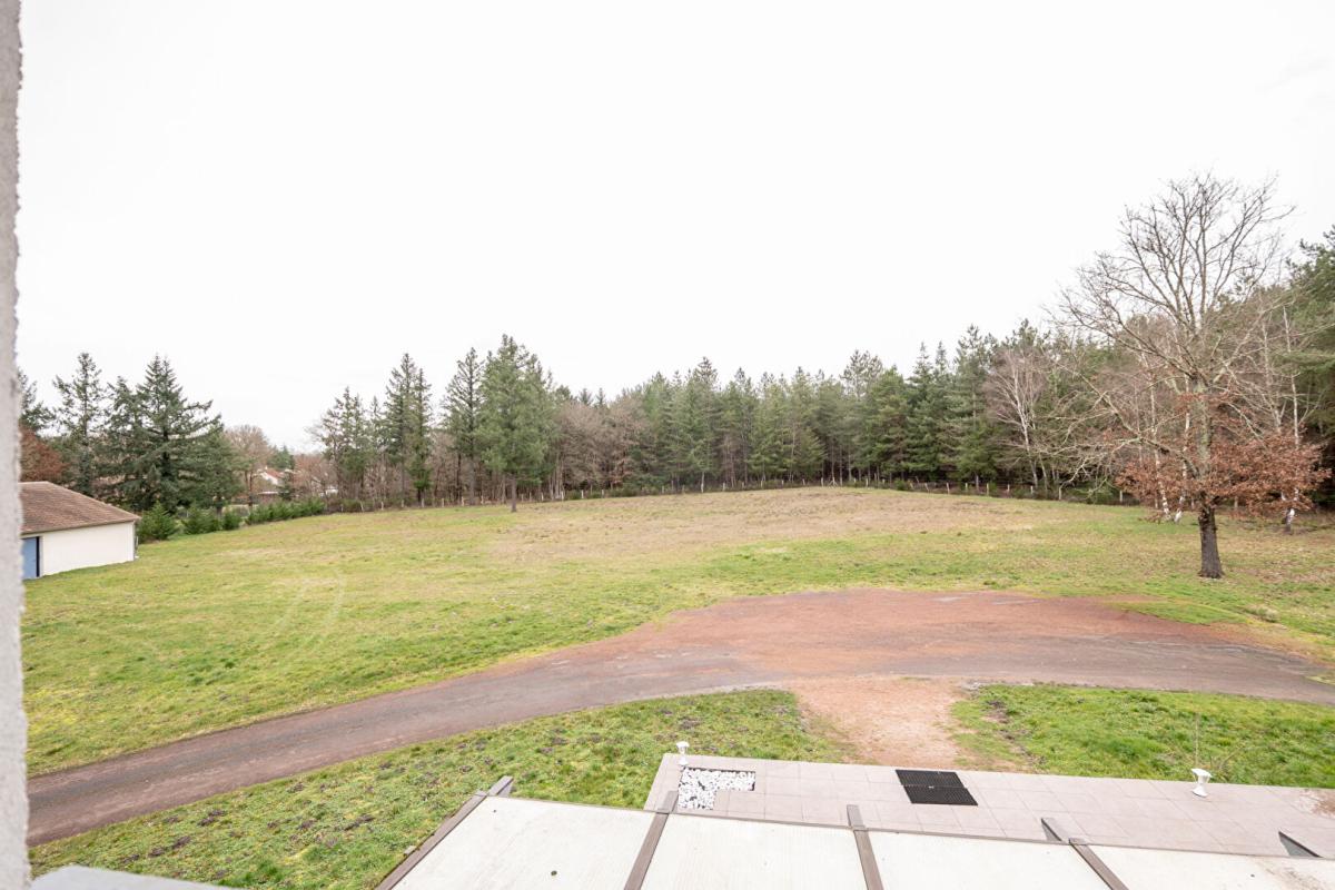 ROMORANTIN-LANTHENAY LIEUX UNIQUES ® x PROPRIÉTÉS PRIVÉES PROPOSE MAISON CONTEMPORAINE 161 M² - 1.9 HA - ROMORANTIN (41) 5