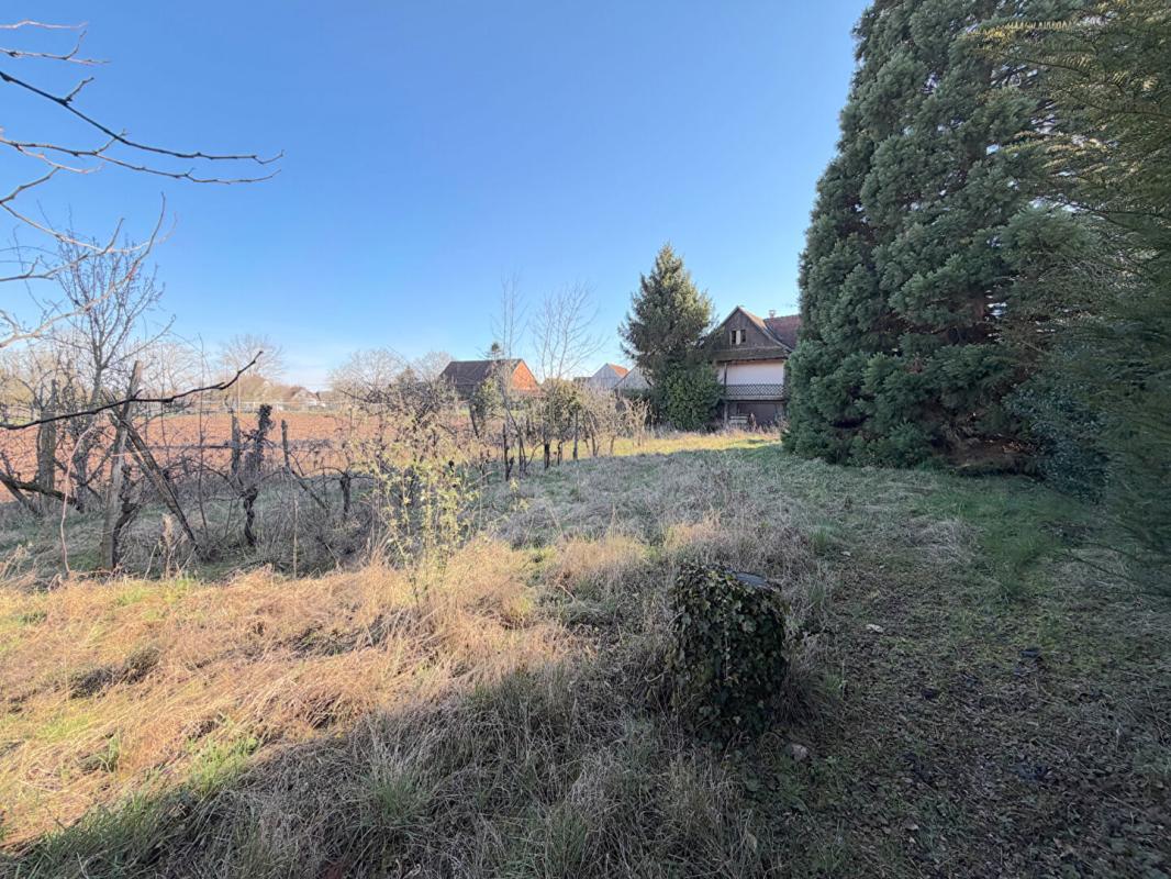 EPFIG Maison à rénover, grand terrain 18