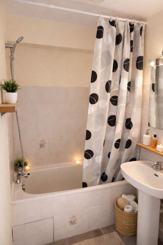 OLIVET Appartement Olivet 1 pièce(s) 24 m2 6