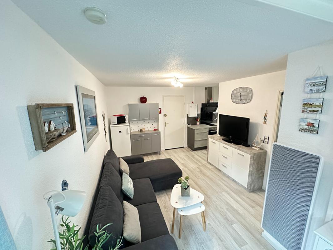 SAINT-GEORGES-DE-DIDONNE Magnifique appartement Saint Georges De Didonne 31.5  m2   250 M Plage 5