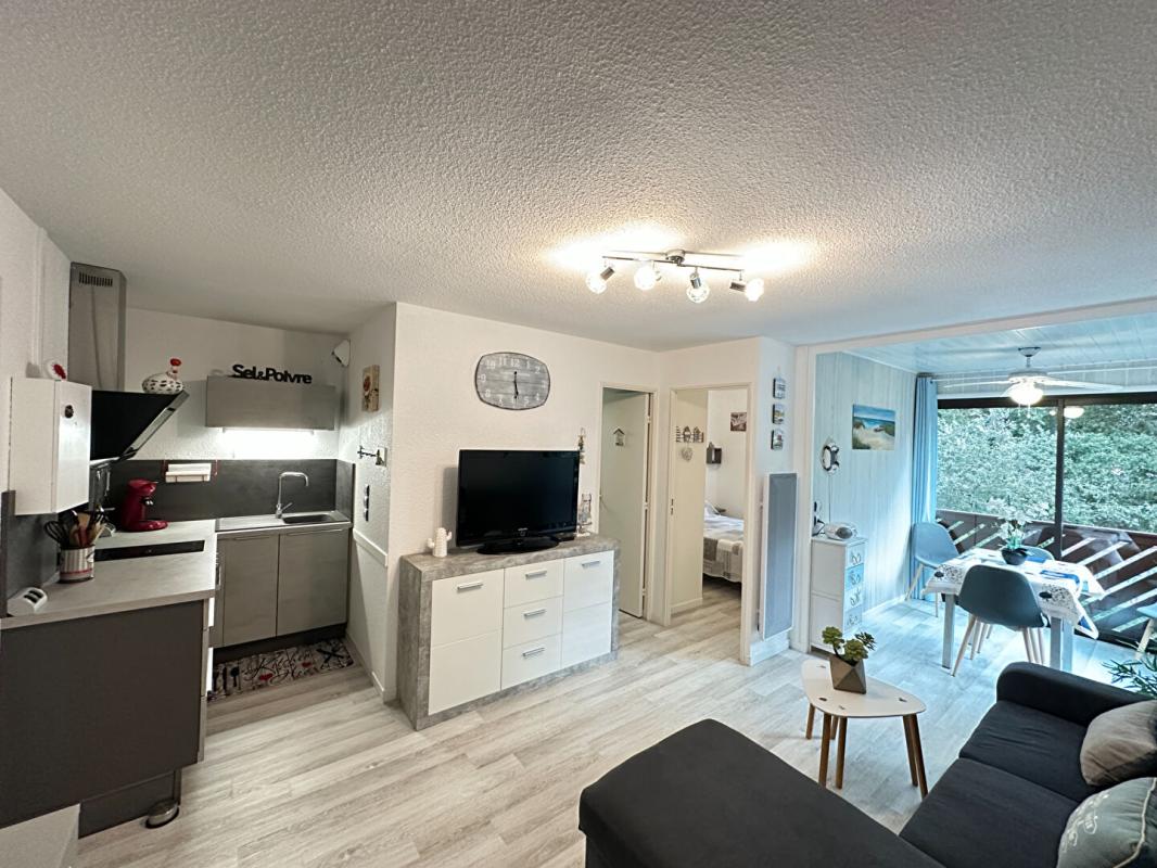 SAINT-GEORGES-DE-DIDONNE Magnifique appartement Saint Georges De Didonne 31.5  m2   250 M Plage 7