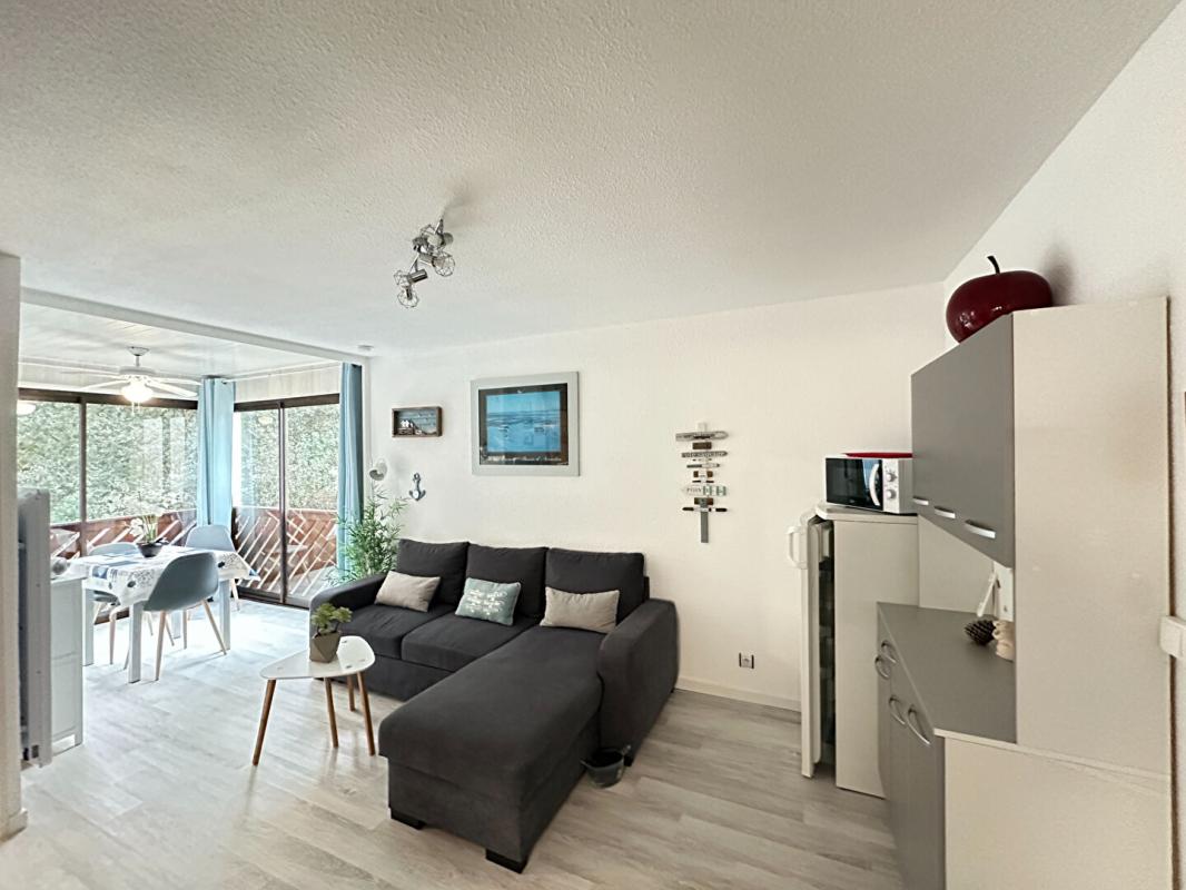 SAINT-GEORGES-DE-DIDONNE Magnifique appartement Saint Georges De Didonne 31.5  m2   250 M Plage 8