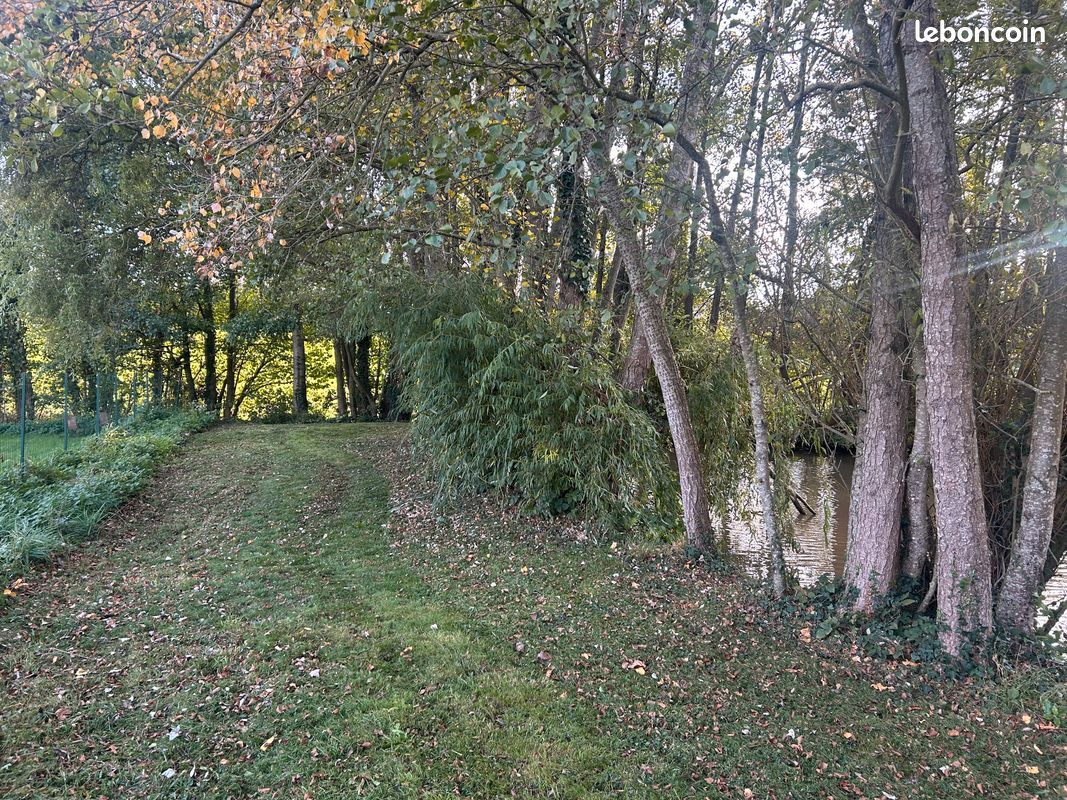 BOUCHAMPS-LES-CRAON superbe étang 1