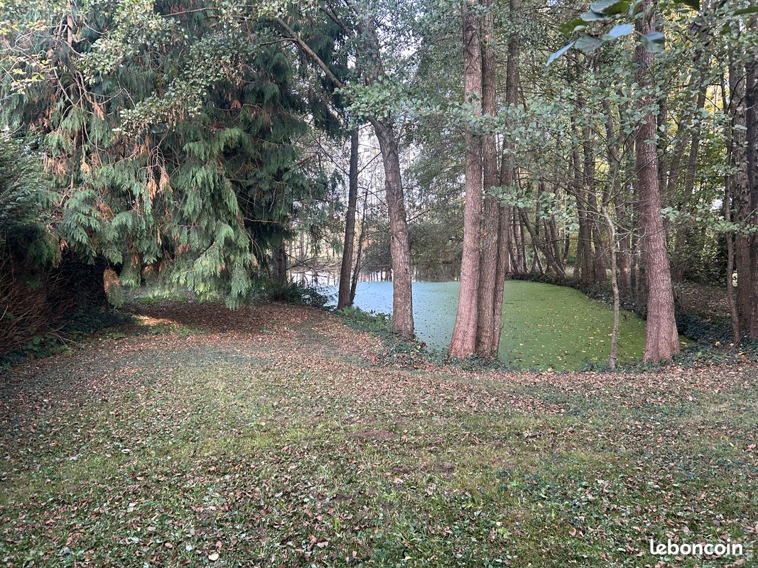 BOUCHAMPS-LES-CRAON superbe étang 2