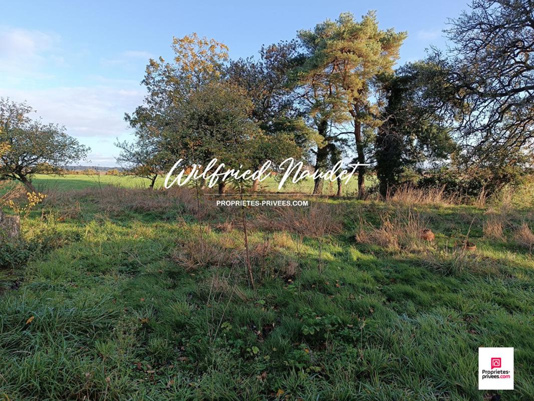 SAINT-VINCENT-DU-LOROUER Longère  au calme 4